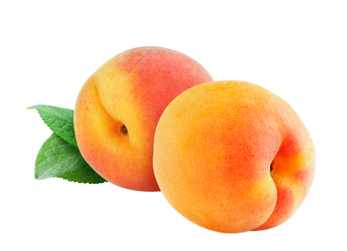 real apricots