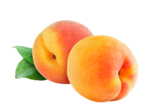 real apricots